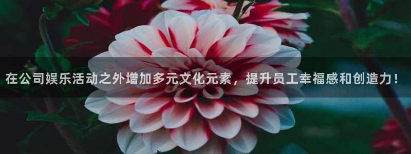 耀世娱乐登陆：在公司娱乐活动之外增加多元文化元素，提升员工幸福感和创造力！