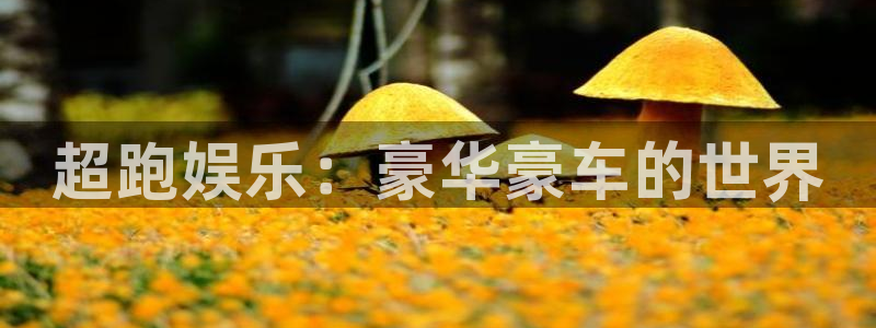 耀世娱乐注册：超跑娱乐：豪华豪车的世界